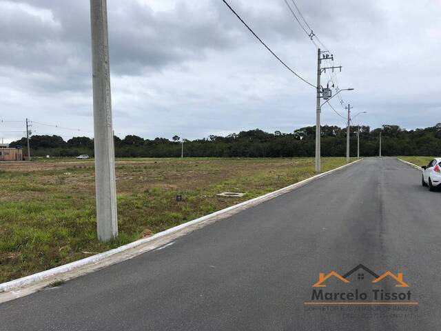 #T1154 - Terreno para Venda em Florianópolis - SC - 3