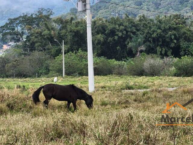 #T1156 - Terreno para Venda em Florianópolis - SC - 3