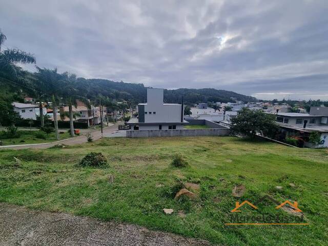 #T1170 - Terreno para Venda em Florianópolis - SC - 3