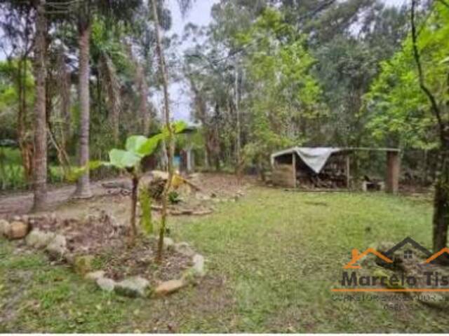 #T1175 - Terreno para Venda em Santo Amaro da Imperatriz - SC - 3