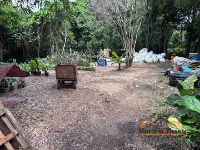 #722 - Terreno para Venda em Florianópolis - SC - 3