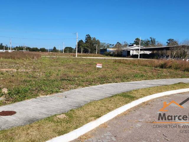 #T1185 - Terreno para Venda em Florianópolis - SC - 1