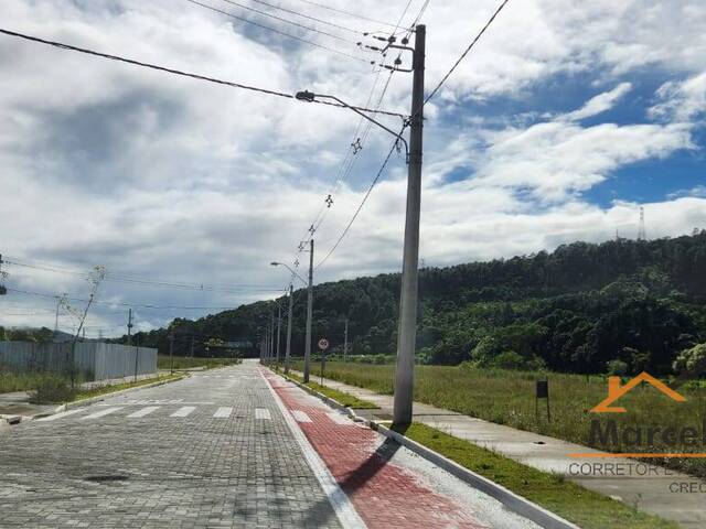 #733 - Terreno para Venda em Florianópolis - SC - 3